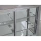 Vitrina frigorifica Tecfrigo LINUS 200, capacitate 200 l, temperatura +4/+10º C, argintiu