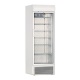 Vitrina Tecfrigo TFGCN 145, cu caseta luminoasa, capacitate 480 L, temperatura -12/-22 ºC, alb